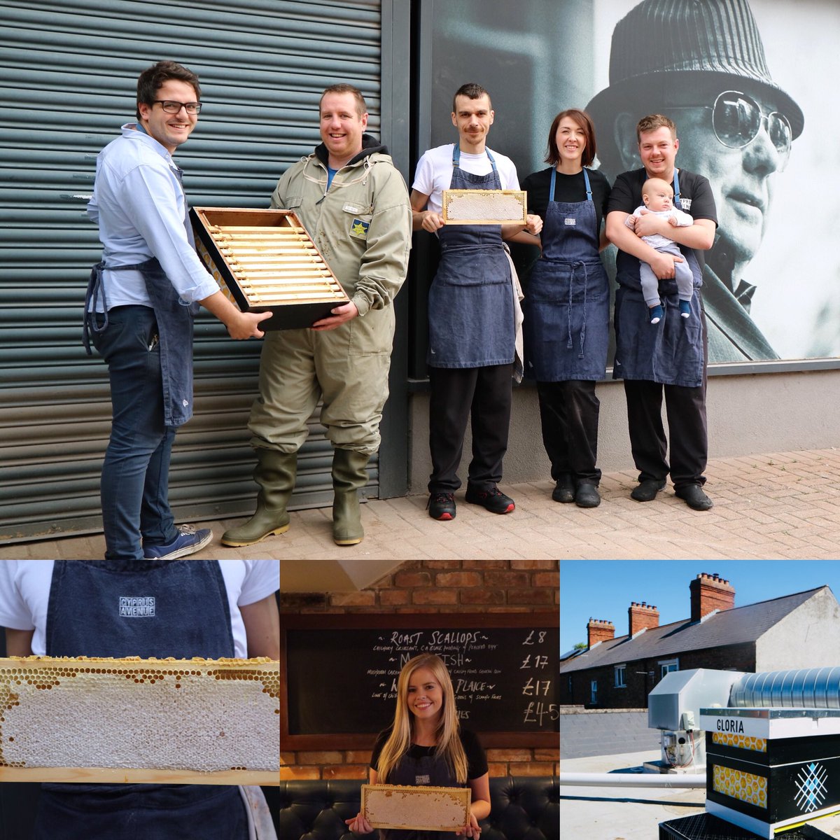 CyprusAvenue228's tweet photo. So excited to get trying our first batch of Cyprus Avenue honey from the bees on our kitchen roof. Gloria our queen has done us proud 🐝👑

Big love to our friends @infinity.farm for their time and knowledge, it’s been amazing for the team to learn all summer😘 https://t.co/EElVQDRdod