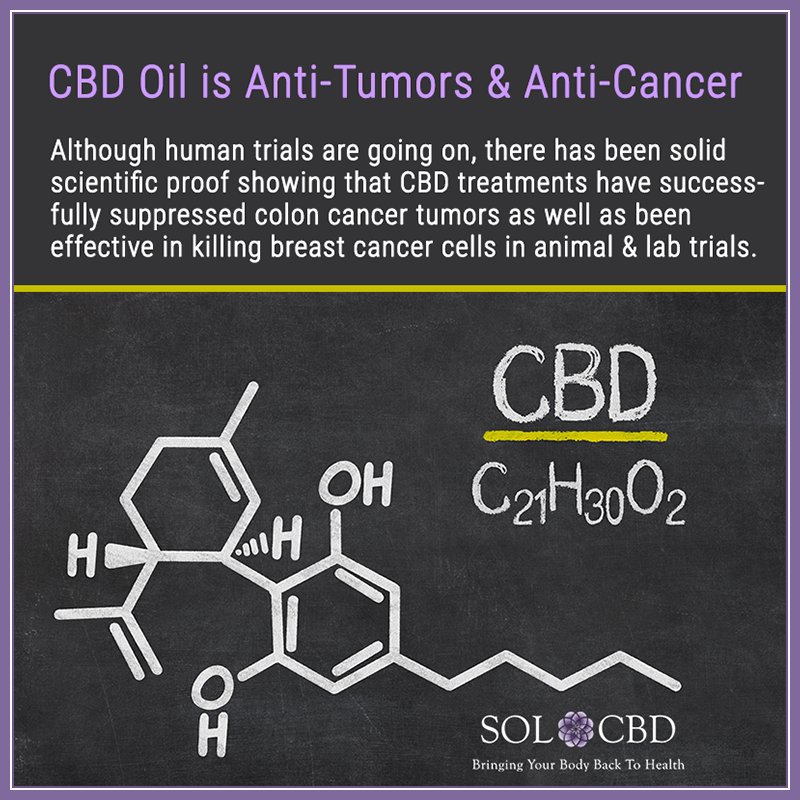CBDoilPurest's tweet photo. CBD oil anti-cancer anti tumor

#PainRelief  @CBDoilPurest #CBDoil  #cancer https://t.co/ueb3uUTfSK