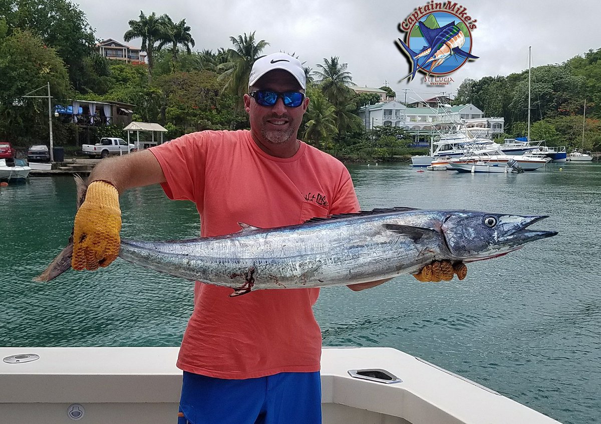 Good things come to those who bait.
#CaptainMikes #Fishing #Fishinglife #Whalewatching #Dolphinwatching #AtSea #Happylife