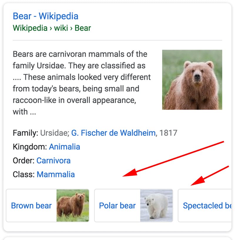 Brown bear - Wikipedia