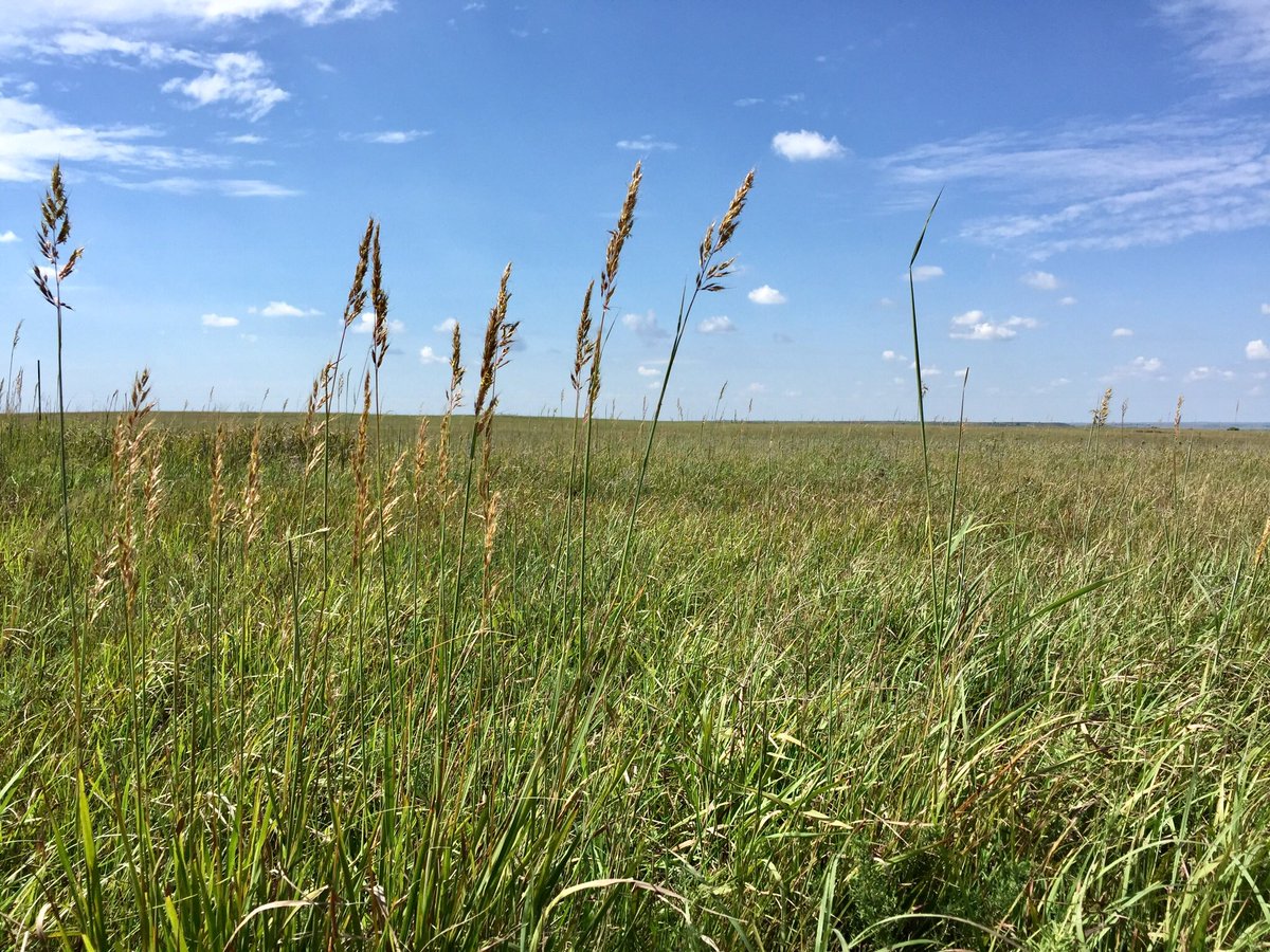 Ingrid Slette, PhD tweet media