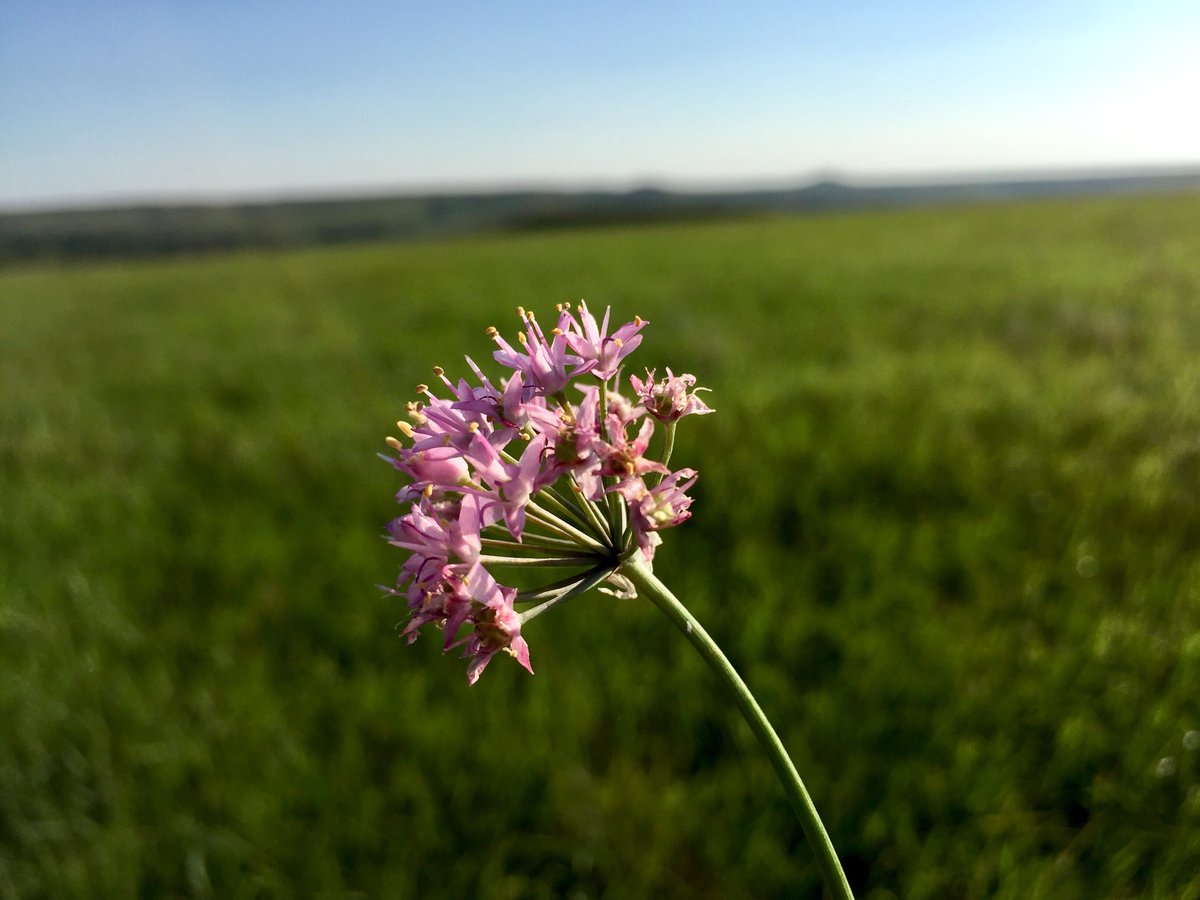 Ingrid Slette, PhD tweet media