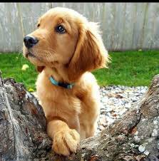 I hear the smell of BACON!!!