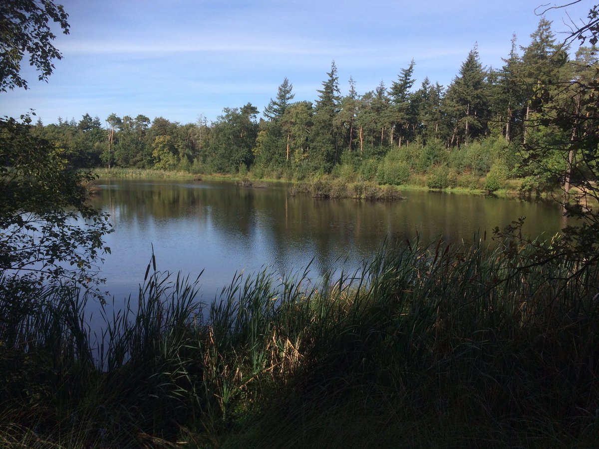 BoswachterFrans's tweet photo. Vanochtend de laatste opname #BoxtelNatuurlijk @Dommelland gemaakt met @carolijnfranken bij #Venrode Ze gaat ons helaas verlaten 😢Uitzending in oktober https://t.co/F3CJqhvHU0