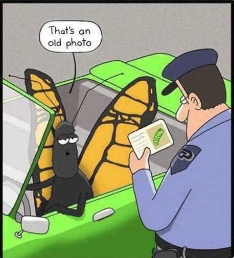 UHCLPD's tweet photo. Sometimes life has a way of passing us by. Make sure you keep your important info updated in E-Services and on official documents. #updateinformation #keepcurrent #UHCL https://t.co/8ohbae6afL