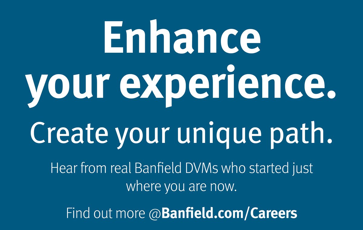 viralvet's tweet photo. Enhance your experience. Create your unique path. Hear from real #Banfield DVMs who started just where you are now. #DVMCareers #Veterinary 
 https://t.co/foLgLiH3Fp https://t.co/g7HxSsSGdZ