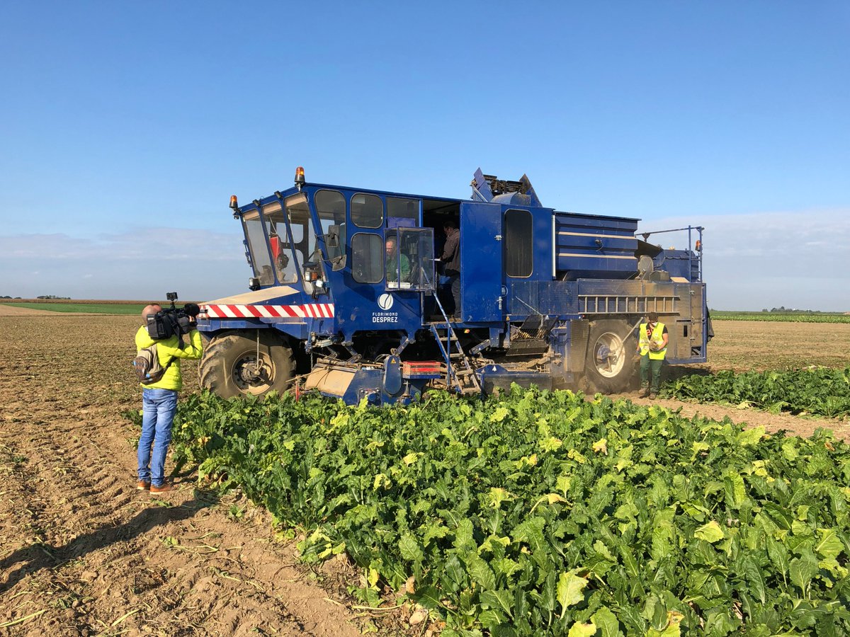 Récolte des essais Rendement dans le cadre du programme AKER : prise de vue vidéo et interview de Nicolas Henry, directeur du Laboratoire Betteraves et Chicorée de Florimond Desprez. #innovationcompetitive #betterave2020 <a href="/ITBetterave/">ITB - Institut Technique de la Betterave</a>