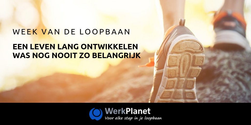 WerkPlanet tweet media