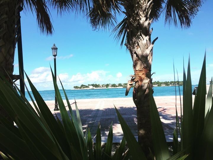 BestWesternKW's tweet image. A #daytime shot of #MallorySquare. #CompletelyDifferent #GetMeThroughThisMonday #keywest #keywestvibes #MondayMotivation