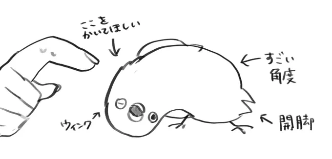 今日のツユチャン 