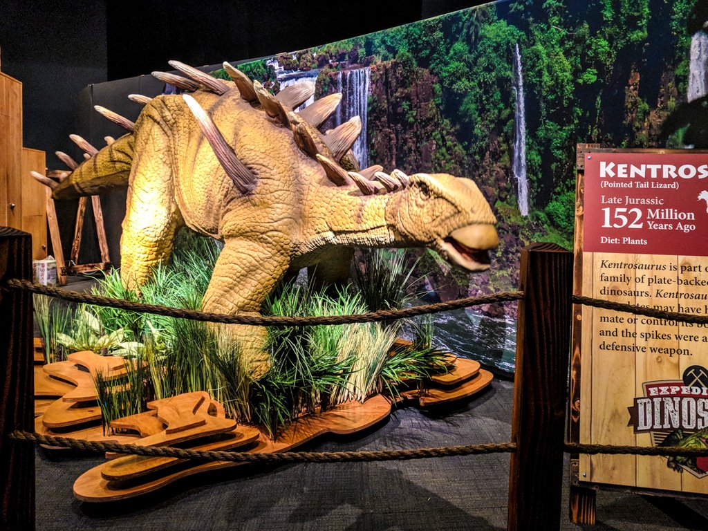 ExhibitsDev's tweet photo. "Expedition Dinosaur exceeded our expectations in terms of attendance and response from our visitors.” - Brad Evans, Director of Exhibits &amp; Production, Bishop Museum 
#bishopmuseum #stagenineexhibitions #dinosaur #exhibition #exhibit #EDG #expeditiondinosaur https://t.co/zzBcmo0FCh