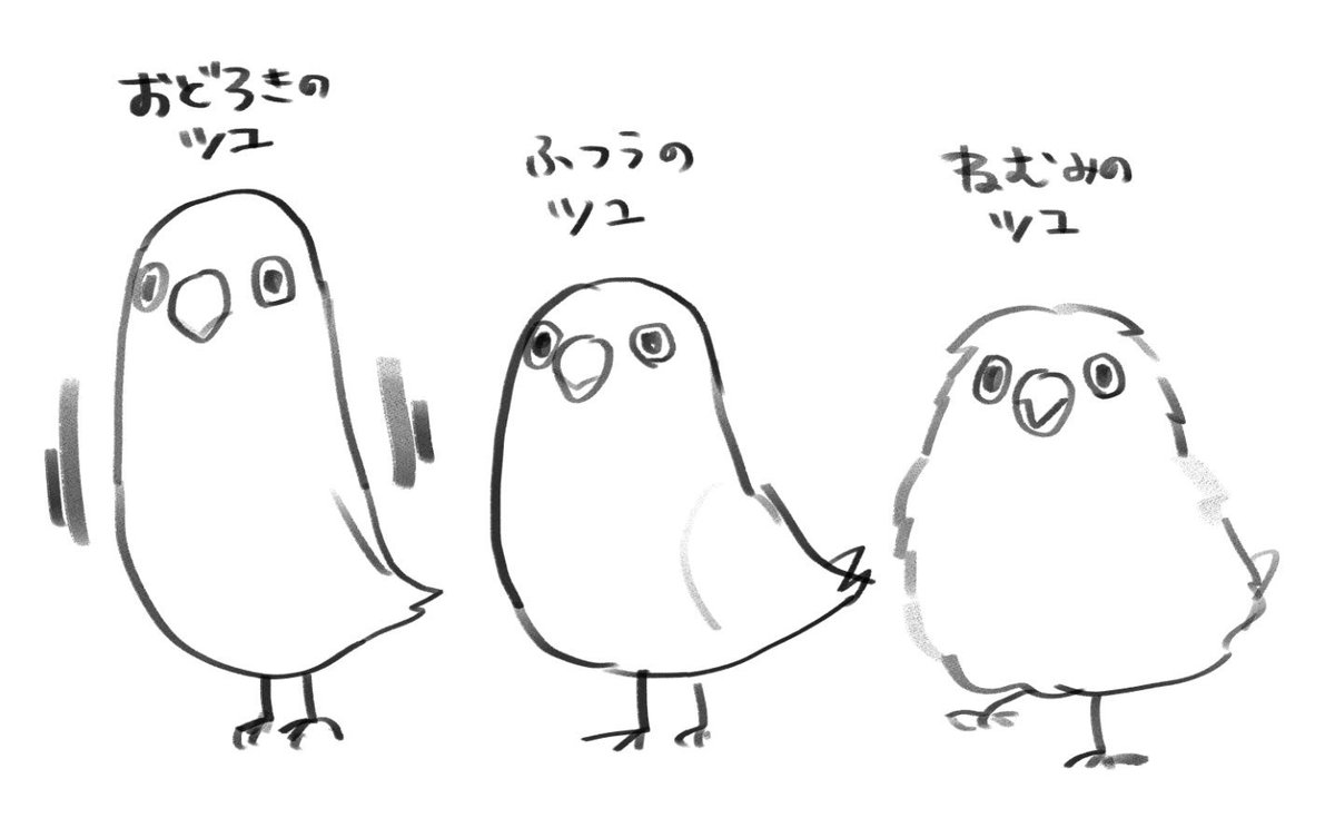マメルリハ(インコ)のツユを飼い始めて5ヶ月ぐらいになりました。たくさんのおもちゃを買い与えたので、ツユチャンのお気に入りおもちゃランキングを発表します!!
2枚目はおまけ 