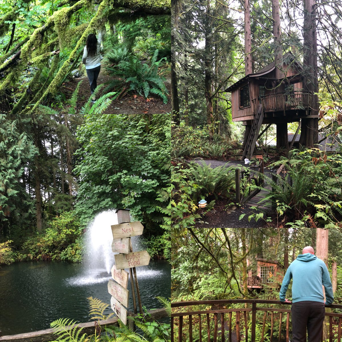 Falky20's tweet photo. What a fun adventure at #treehousepoint after a wonderful #gawda2018AC https://t.co/yANA5Bh5B2