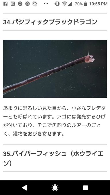深海魚のtwitterイラスト検索結果 古い順 深海魚のtwitterイラスト検索結果 古い順