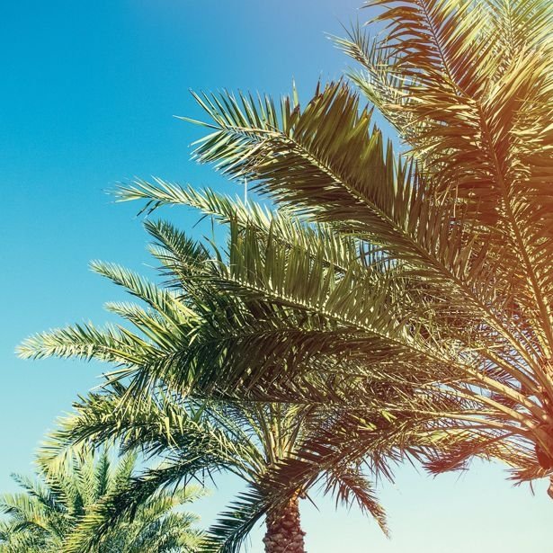 RestoreRentals's tweet photo. Everyday is a a great day when you're staying in #Paradise Visit  https://t.co/bQAUL4TYZ0 to plan your next #Vacation. https://t.co/MwrqjKQNyc