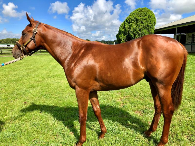 Bourbon Lane Stable (@BourbonLane) | Twitter