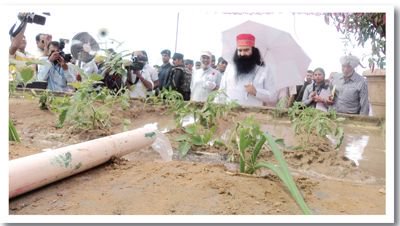 Neetu99247015's tweet photo. Elaborating on “Save the Heritage” stall, Revered Saint @Gurmeetramrahim ji said that it is a humble effort to preserve our cultural and village heritage. He said our heritage is the healthiest of all n many farming techniques are invented here in the ashram #अन्नदाता_बचाओ_मुहिम https://t.co/ZwjBW55npA