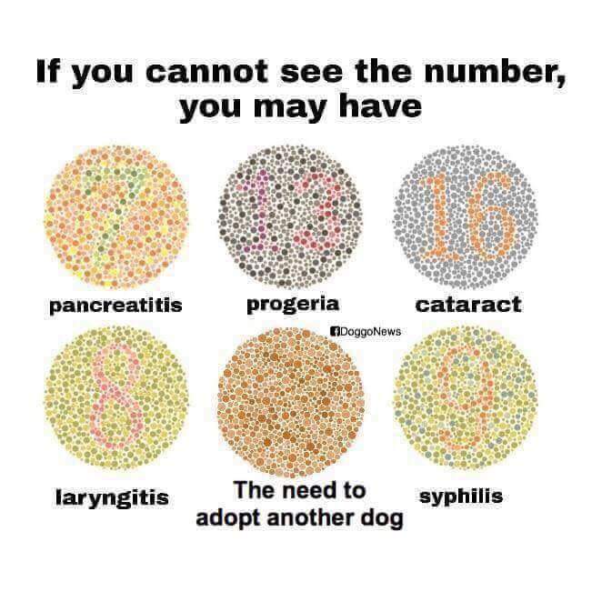 Health check guys 😘