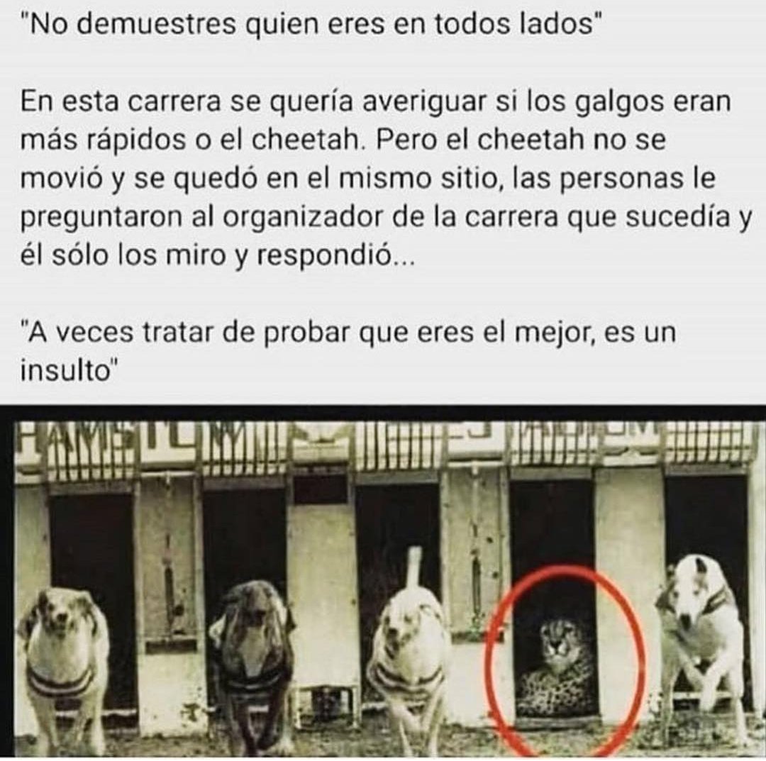 sergioramirezps's tweet photo. #ReflexiónDeHoy https://t.co/nkXbgjTdLc