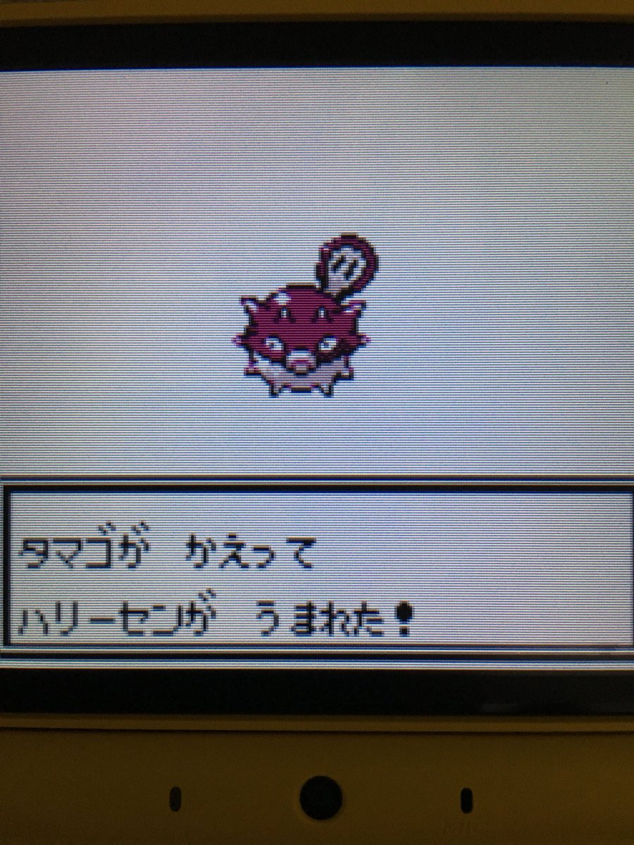 色違いポケモン紹介 Vc産ハリーセン 自由に生きてあそblog