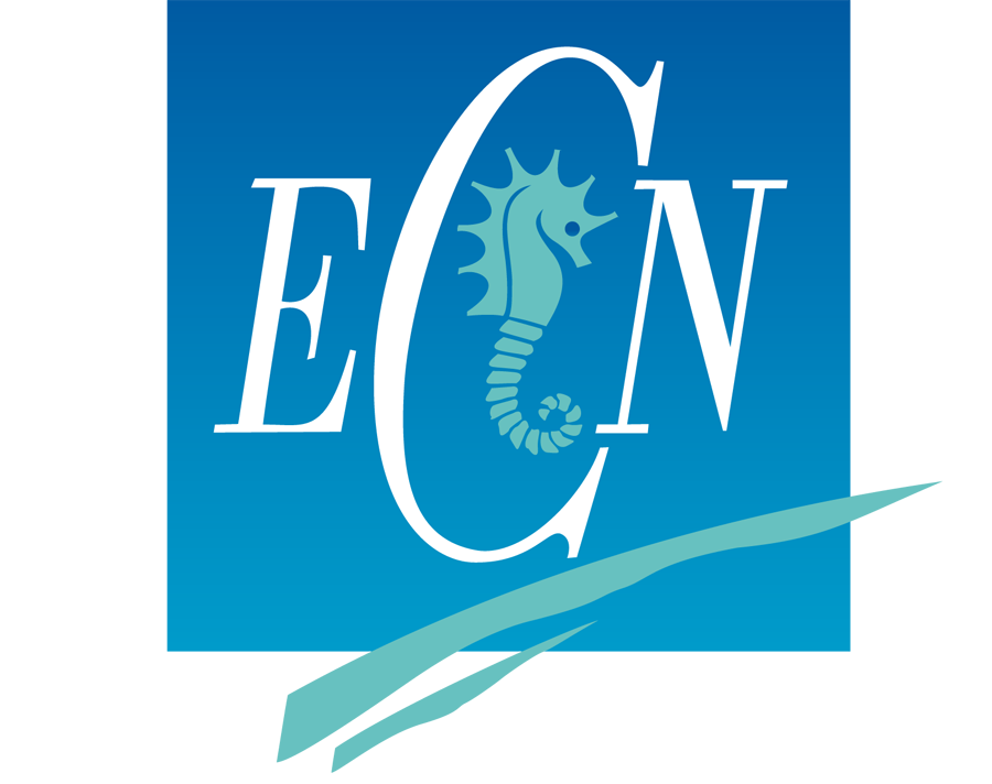 Stream0d's tweet photo. #ROM (Reduced Order Modeling) is a key tool in #STREAM0D. For #BitsOfSTREAM0d ep. 6, the Institut de Calcul Intensif (ICI) of the @CentraleNantes and @ITAINNOVA will provide an insight on ROM methods. @EU_H2020 @EU_Commission https://t.co/sGOJ6CTfLQ
