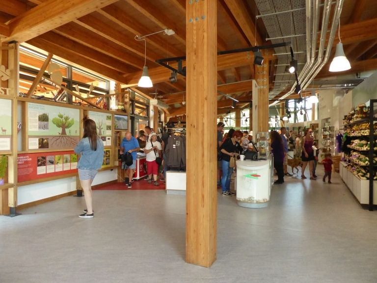RSPBSherwood's tweet photo. And we're open! 

Whether you’re a regular explorer, or an occasional visitor, you might have heard on the grapevine about the new Visitor Centre at Sherwood Forest 👉https://t.co/K4eObQpj8Z https://t.co/xuRml2pU8q