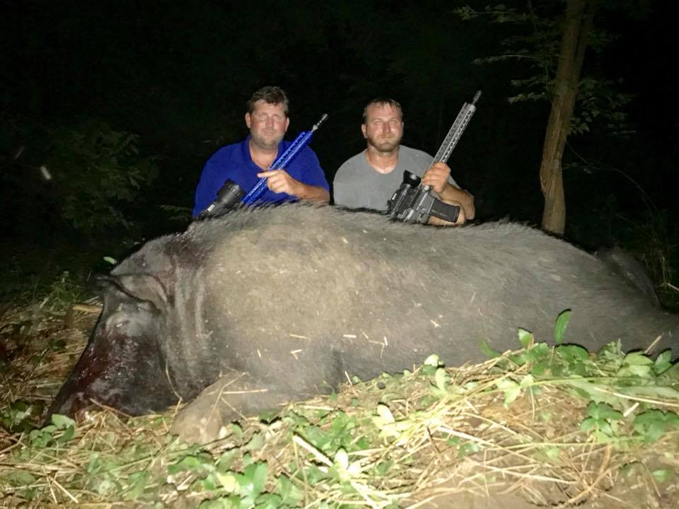 AssaultHog's tweet photo. Zach &amp; Derrick took several Nice Boars last night, we stalked about 500 yards on a big sounder of Hogs Damaging  fresh planted peanuts . Great shooting !! https://t.co/gdeeIpEzPr