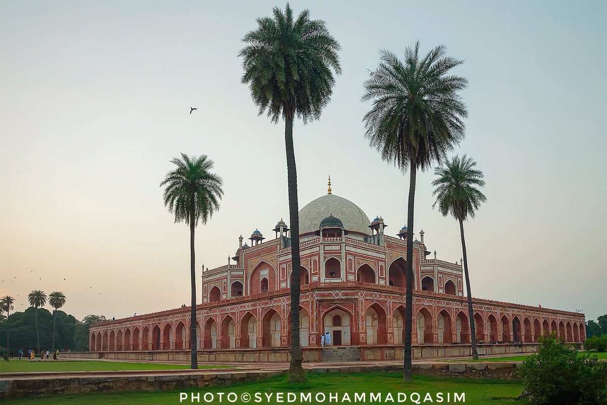 syedmohammadqasim on twitter treesofdelhi15 i love khajoor these tall and majestic khajoor trees in humayun s tomb add new heights to this already very beautiful worldheritagemonument in delhi sugardatepalm trees 50treesofdelhi treesofdelhi tall and majestic khajoor trees