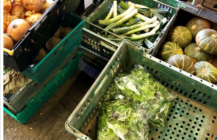@organiclea Do you share a passion for developing and delivering a sustainable #community #Food #enterprise ? Can you combine strategic development with day to day operational delivery? We are looking for new co-op members bit.ly/2QDgQ7h