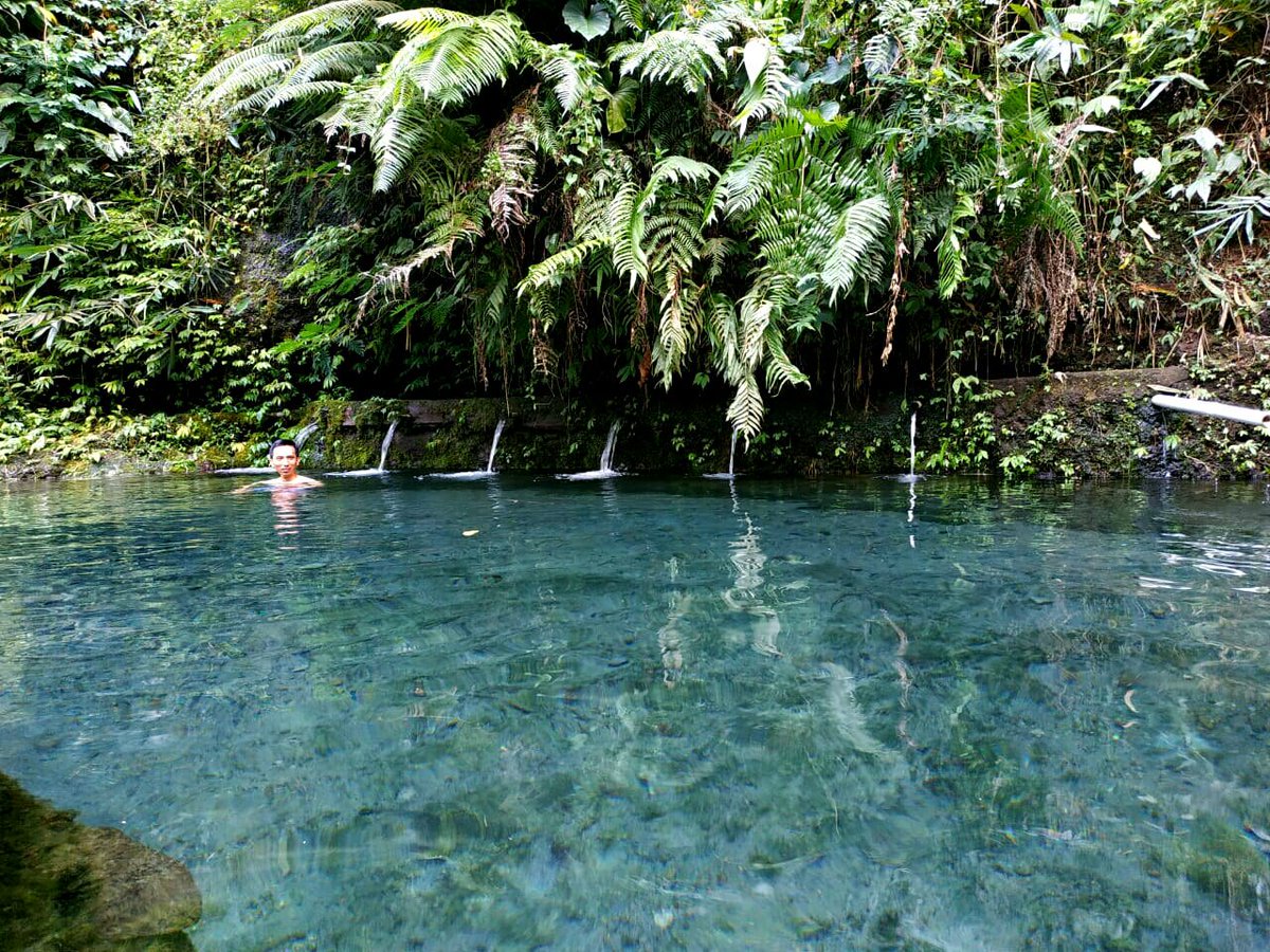 suryadharma ( surya_sparrow) Twitter