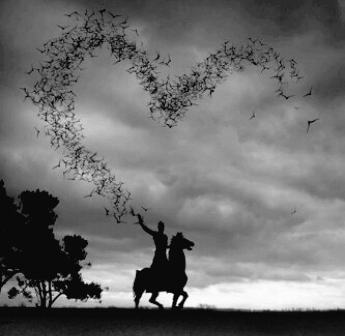 الليّ هَجرنْي دوُن معنى وتفّسير
أبركّ محآصيل الجفاءَ فيّ ذهآبهُ