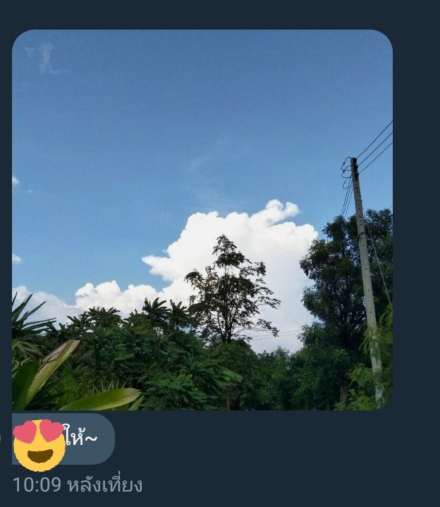 เค่อมาบอกรักลูกหมู tweet media