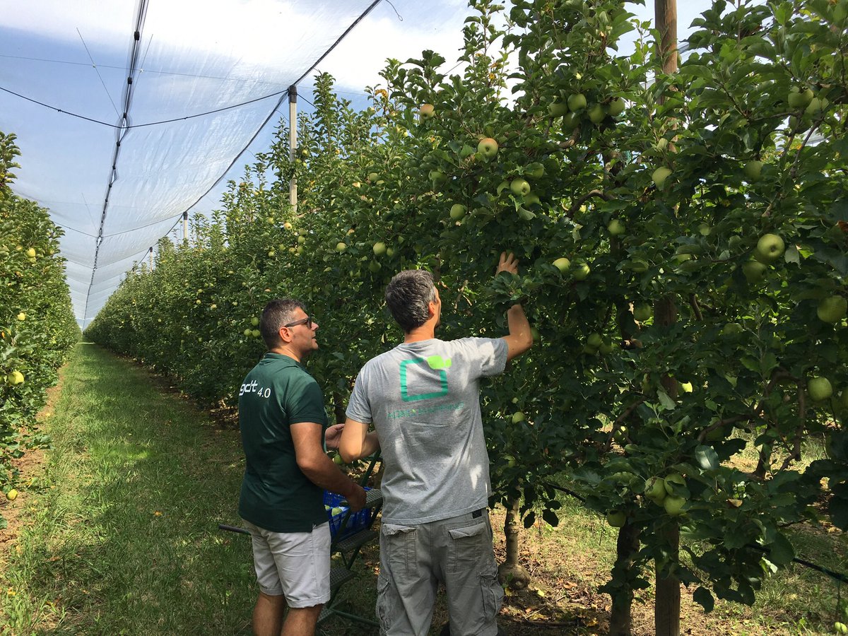 Plataforma Europa tweet media