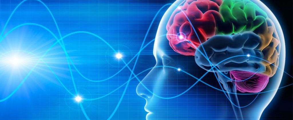 NewworldAir's tweet image. How to improve brain function - #ImproveBrainFunction newworld-air.com/how-to-improve…