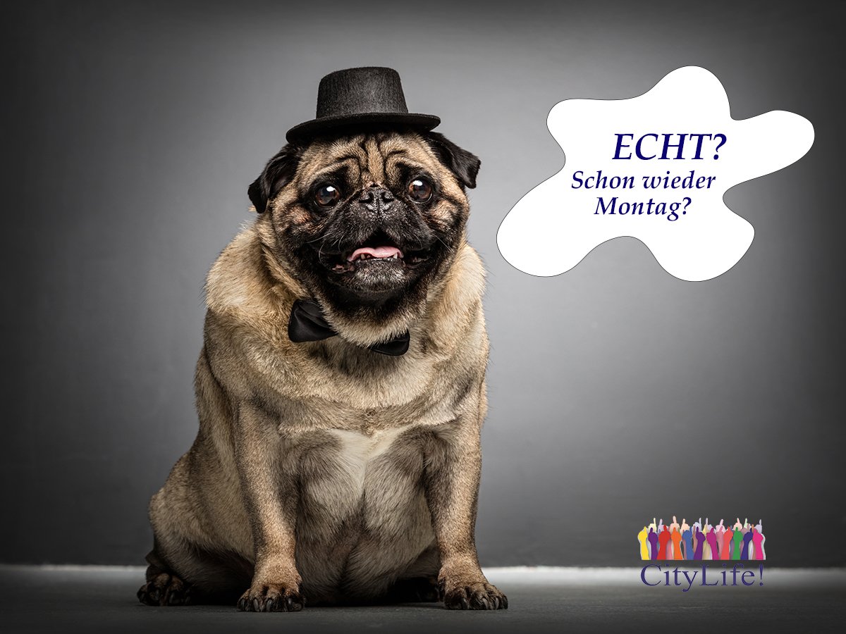 CityLife_BS's tweet photo. Euch allen eine schöne Woche!    https://t.co/4IxhG2EmEl                   #funny #lustigebilder #lustig #braunschweig https://t.co/iCQcCpBjeK