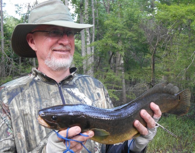 ArkansasWildMag's tweet photo. The Bowfin. They are here, swimming all over the state. Get set for battle. They’re almost impossible to hold.
.
.
https://t.co/DQOkUUEO2n (link in bio)
#ExperienceArkansas https://t.co/hQ2MN8WdaJ
