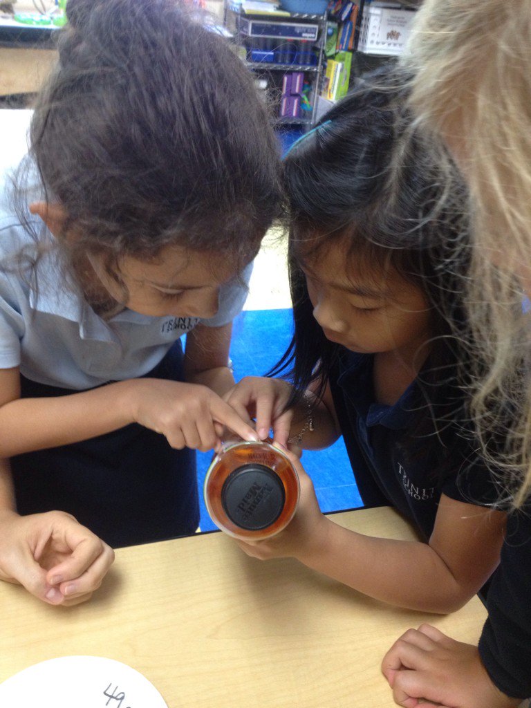 <a href="/julabbie/">Julabbie First Grade</a> Ss discover quant sugar in drinks &amp; how to read nutrition labels #TrinityLearns w/ @MrsKane_Science