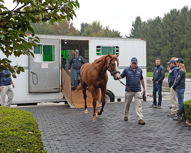 BH_AEberhardt's tweet photo. #TripleCrown winner #Justify arrived at Ashford Stud (@CoolmoreAmerica) where he will stand in 2019. Chestnut colt was greeted by trainer @realbobbaffert + breeders @tanyagun and @johndgunther #GlennwoodTeam #TeamCoolmore. Best to all on his career as a stallion! https://t.co/NXkYLWPfg4