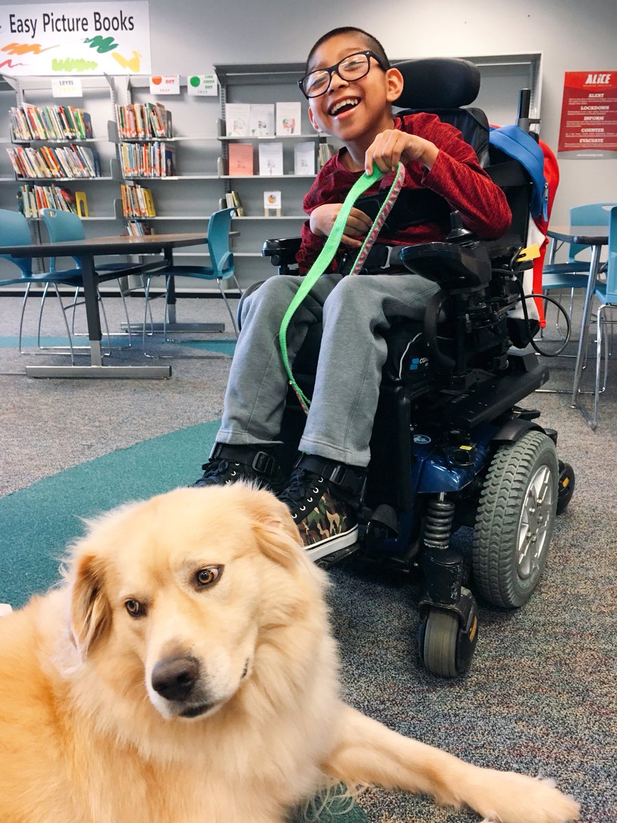 MLK_LIB's tweet image. Libby and Mrs. Calhoun visited the MLK Library today! 🐕❤️📚 #LibbyListens
