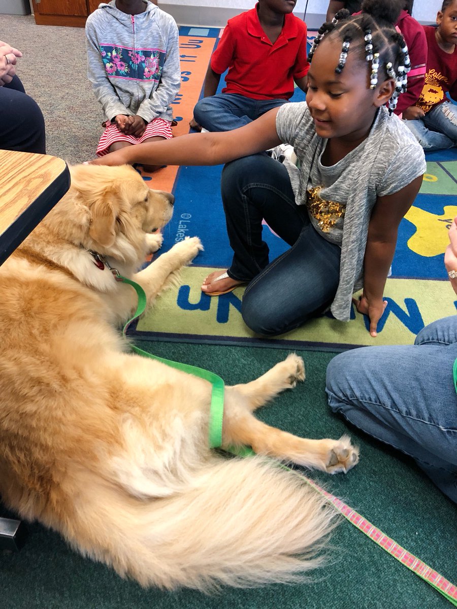 MLK_LIB's tweet image. Libby and Mrs. Calhoun visited the MLK Library today! 🐕❤️📚 #LibbyListens