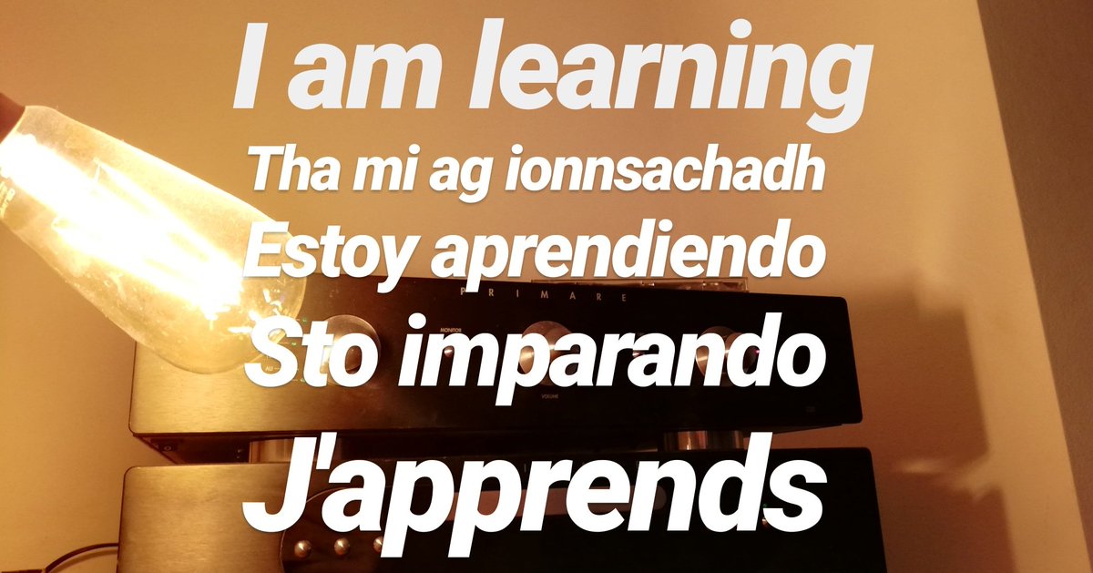 𝕊𝕡𝕖𝕒𝕜 𝕃𝕚𝕟𝕘𝕦𝕒 tweet media