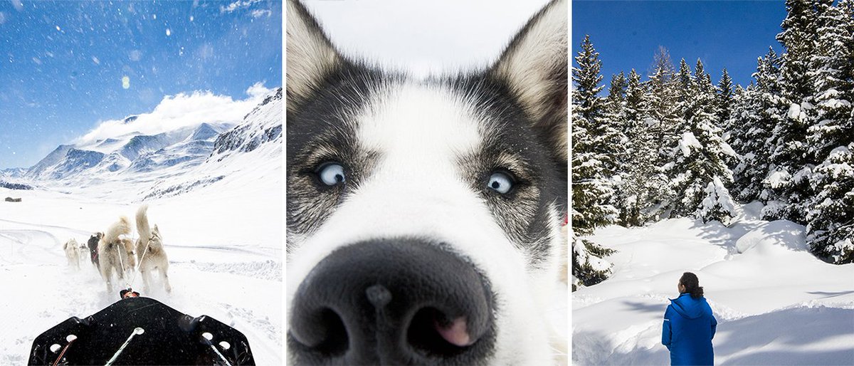 Ik heb iets mega leuks in petto voor mijn lezers. Hint: onderstaande foto's! Maar: beperkt plaats, dus wil je als allereerste op de hoogte zijn van wat er komt, laat even je mailadres hier achter, dan hoor je alles nog voor livegang 😍 bit.ly/2D0fnp0