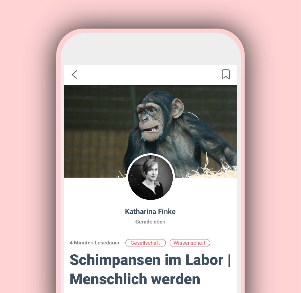 Nuzzera's tweet photo. 🐒 Schimpansen sind enger mit Menschen als mit Gorillas verwandt. Dennoch forschen die USA noch immer an über 12.000 Tieren. @Katharinya hat das ungewöhnlichste Altenheim der Welt besucht, das immerhin 200 der Versuchstiere einen angenehmen Lebensabend ermöglicht. #bustyourbubble https://t.co/tynGOMlABQ