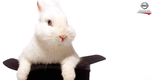 Abracadabra! Our talented team of experts can make your vehicle’s damage disappear! pbxx.it/mYTuHl