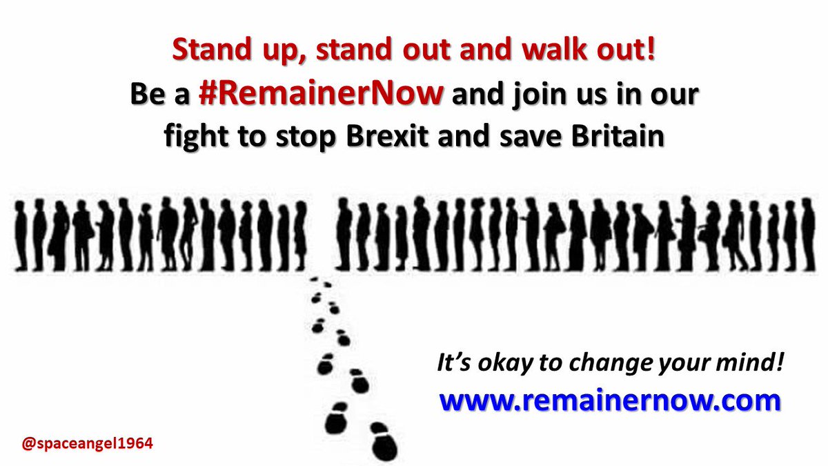 As we know from the hundreds of Brexitometers and our street stalls, more and more have changed their mind on Brexit and are #RemainerNow 
Please share this and encourage people to go to the website remainernow.com
What Leavers promised is never going to be delivered.