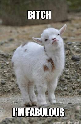 <a href="/TBC_Guild_ESO/">The Breakfast Club guild</a> is turning 1 yr old this week!!  Big shout out to my friend and co-GM @JenethIH !  We fucking did this!  Thank you to <a href="/Sigtric/">Just Sig</a> and <a href="/SkalGuild/">Skål Guild</a> for the support and love!  What a wild ride and looking forward to many more!!!