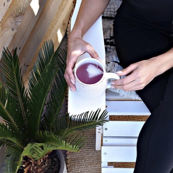 Cuppanut tweet media