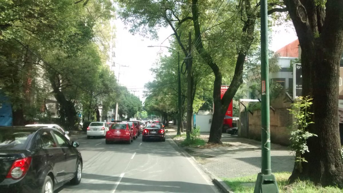 AlcaldiaMHmx's tweet photo. Retiramos 27 gallardetes en Av. Arquímedes, de Paseo de la Reforma hasta Río San Joaquín. https://t.co/69wGg7b2Zi