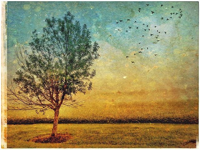 ttsweet's tweet image. Northeastern Ohio
IphoneX, Snapseed, and DistressedFX

#iphonex #distressedfx #snapseedapp #tonysweetphoto ift.tt/2QEdNvB