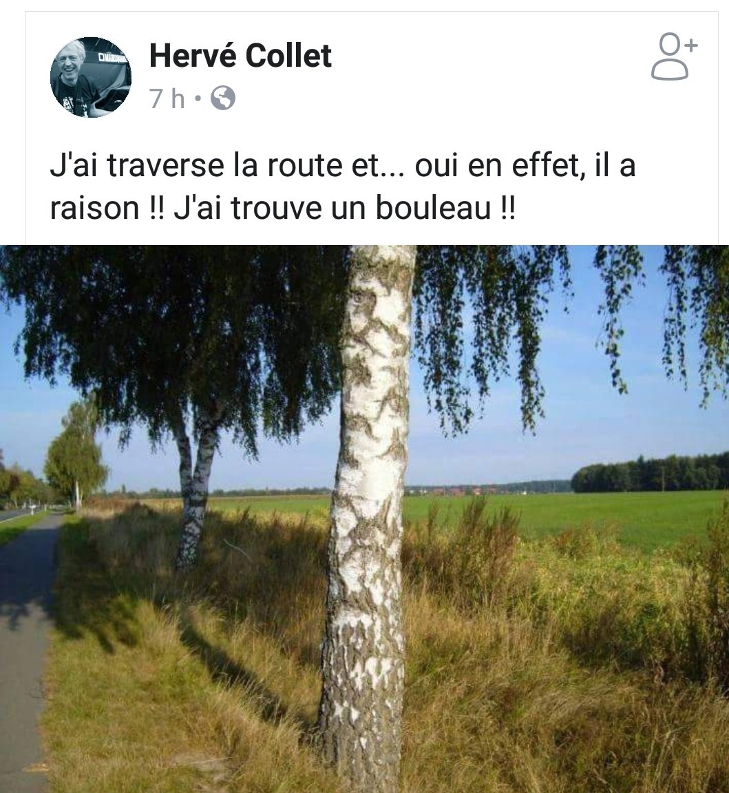 LECLCS's tweet photo. L humour du lundi pour rire un peu, en ces temps obscurs ;) #TraverseLaRueCommeManu #LECLCS https://t.co/Q2oNpvDnc9